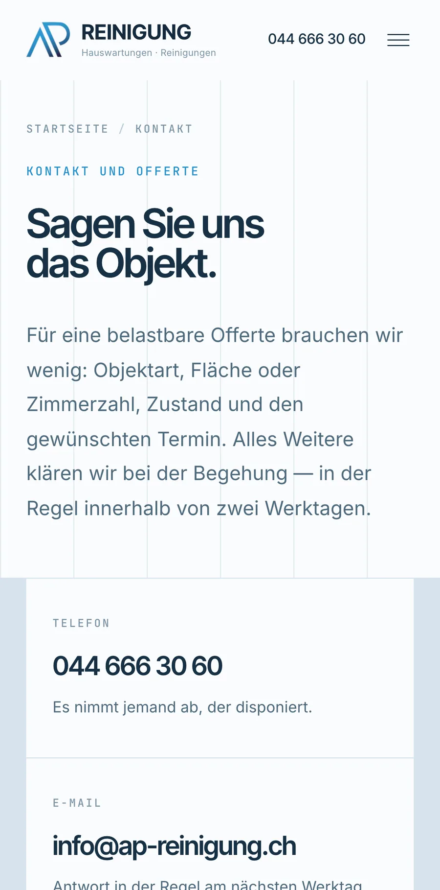 AP Reinigung Kontakt mobil
